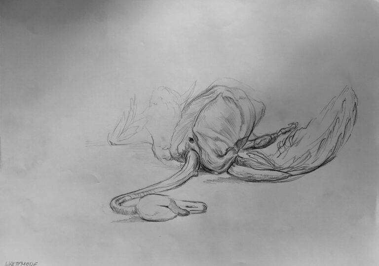 „Swan I“
Graphite on Paper, 42×59cm, 2022