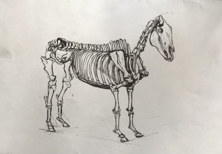 „Horse“
Pen on Paper, 42×59cm, 2022