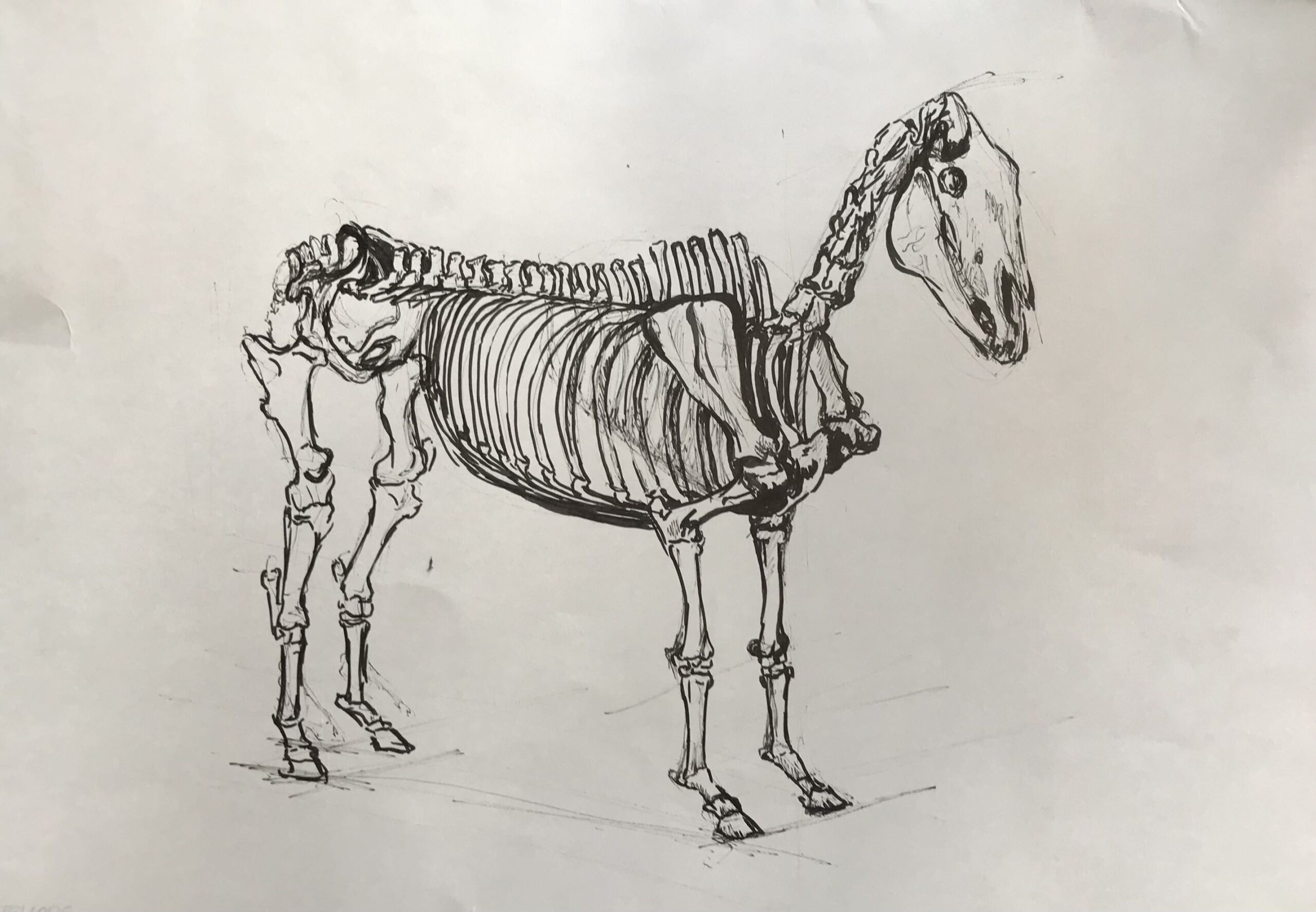 Tonal Study
Charcoal on Paper, 42×59.4cm, 2024