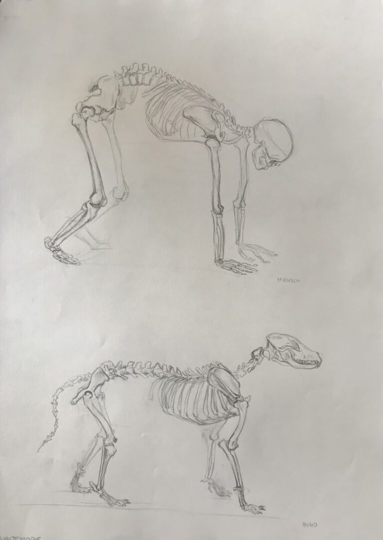 „Human and Dog“
Graphite on Paper, 59×42cm, 2022