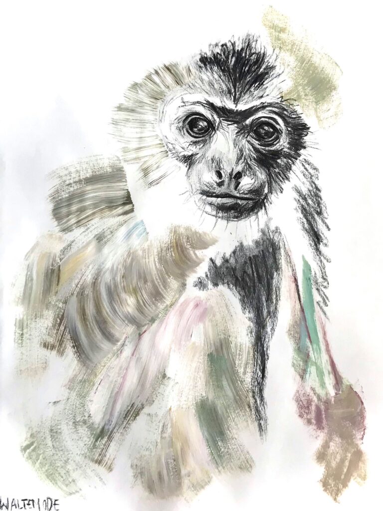 „Uvita“
Charcoal and Acryl on Paper, 59×42cm, 2019