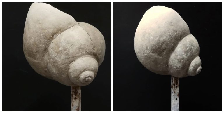 Sculpture Shell
Clay, 20×20×20cm, 2019